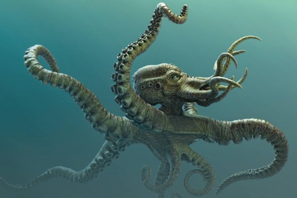 Kraken 12 at сайт