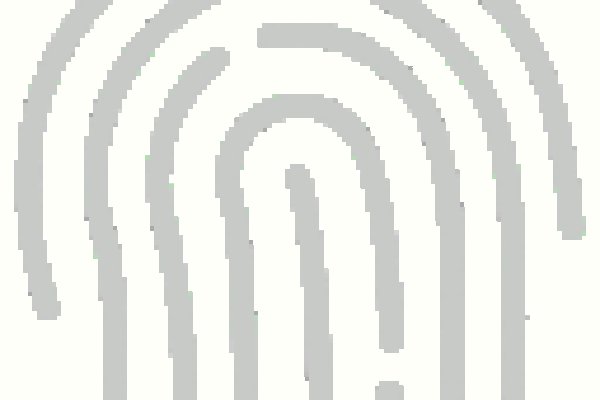 Kraken url